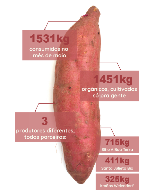 dados da batata doce na Liv Up