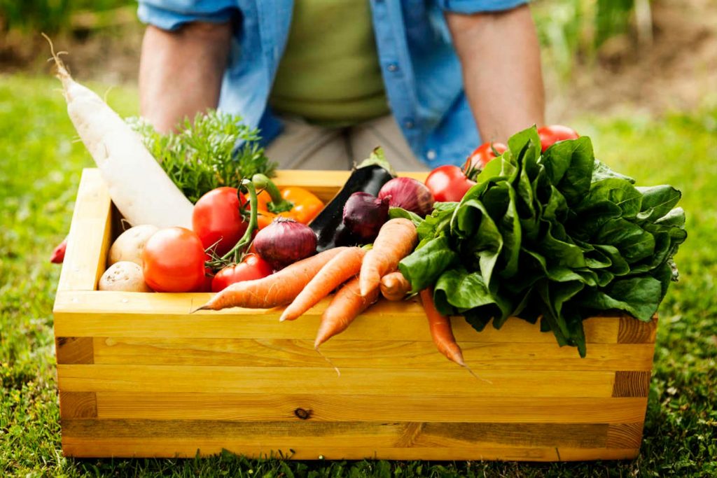 tendências de alimentos para 2020