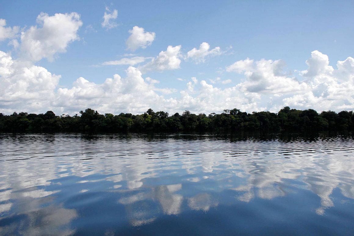 documentários sobre o meio ambiente