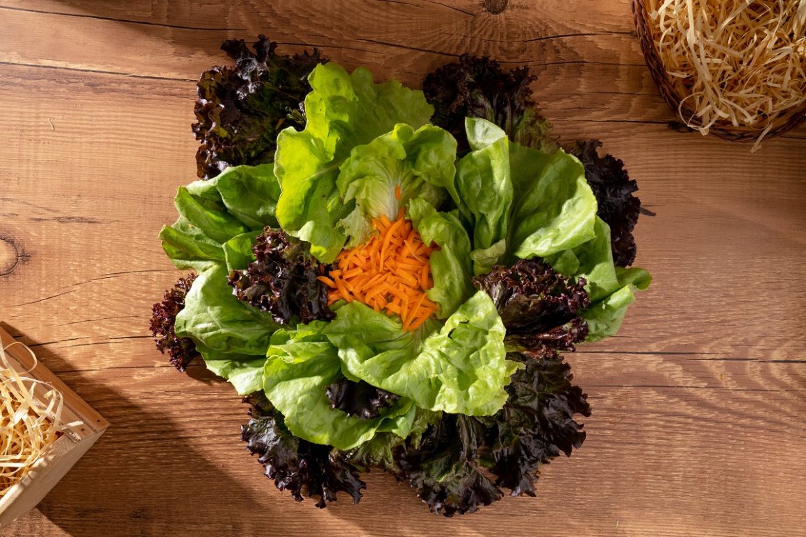 deficiências nutricionais para veganos