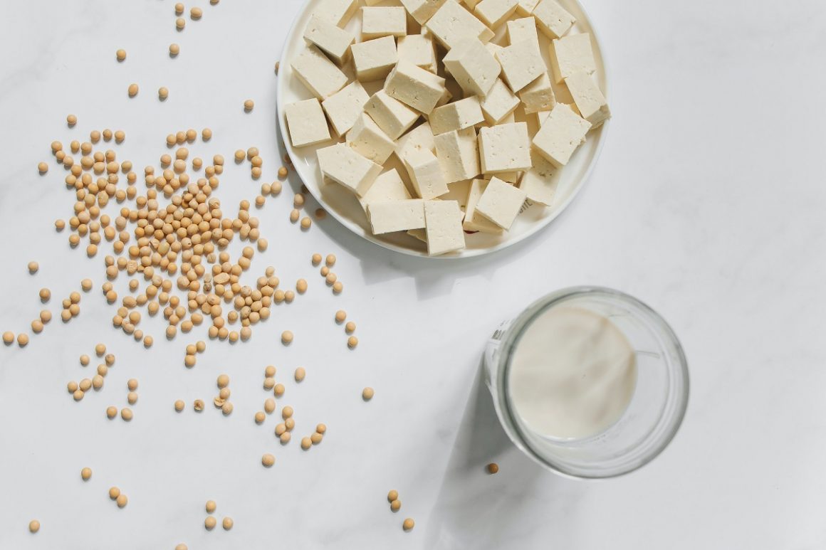 substitutos veganos