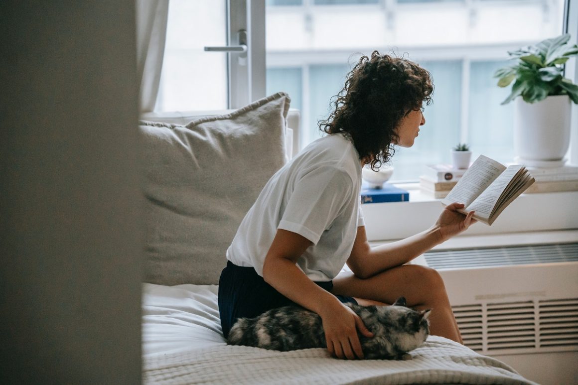 como relaxar a mente com o seu pet
