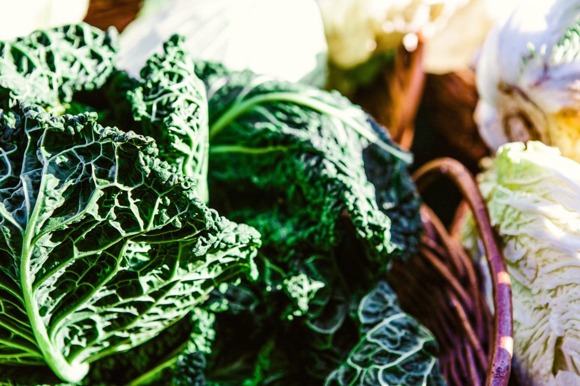 verduras orgânicas