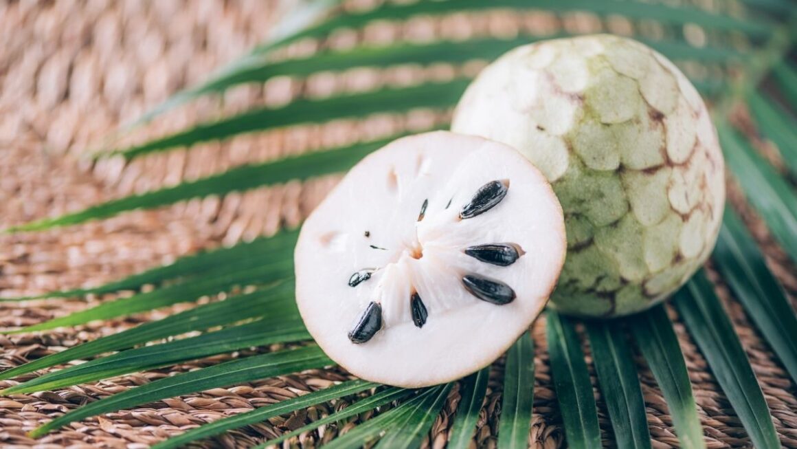 frutas brasileiras graviola
